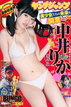 显微镜下的大明之丝绢案 电视剧